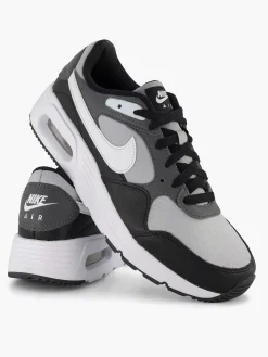 Heren Nike Grijze Air Max Sc
