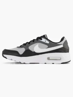 Heren Nike Grijze Air Max Sc